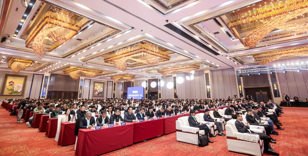 640 (2).webp (2).png